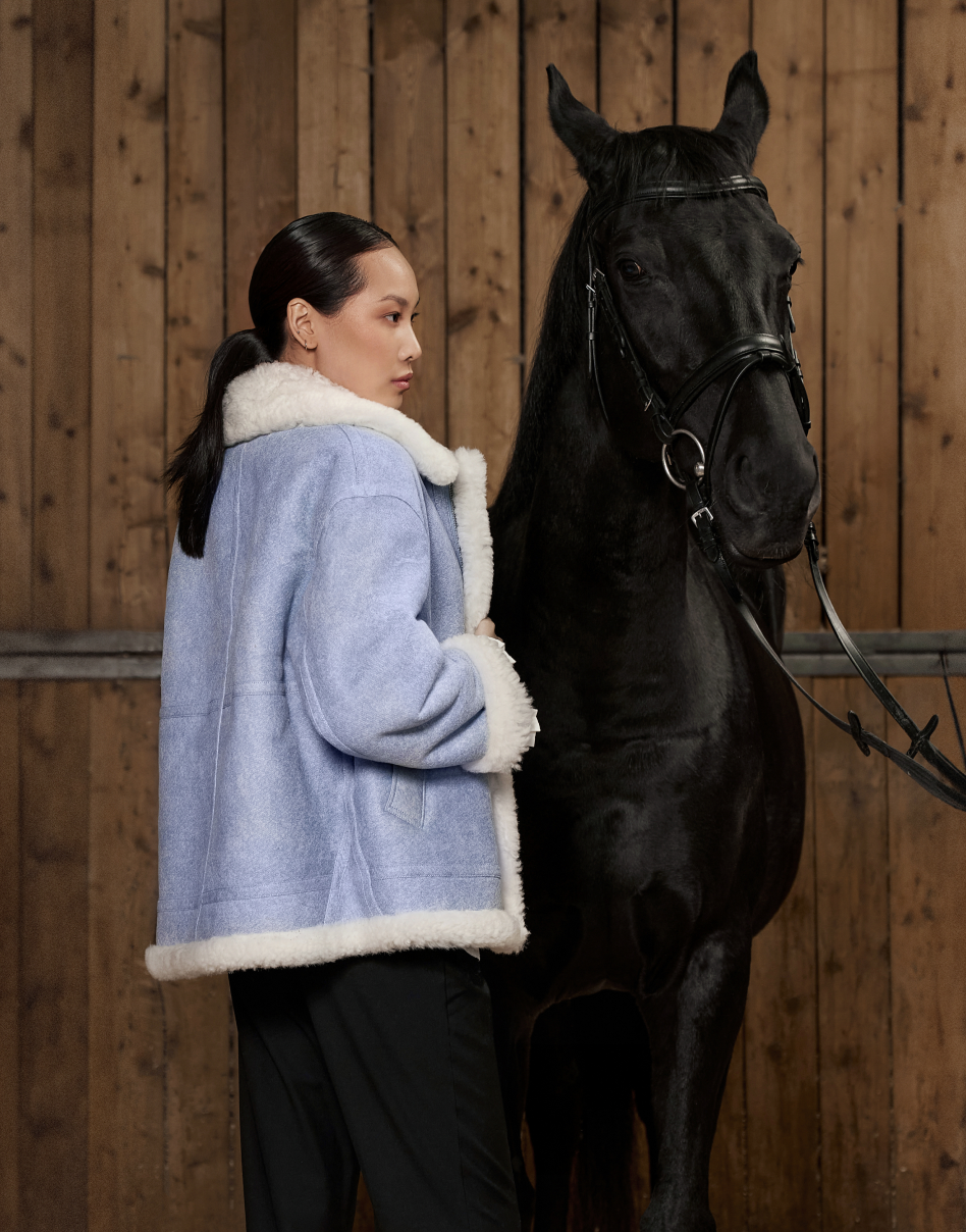 Horse Model
